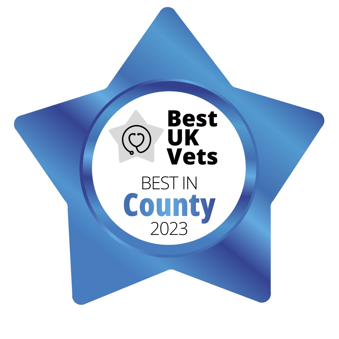 Best UK Vets - Best in County 2023