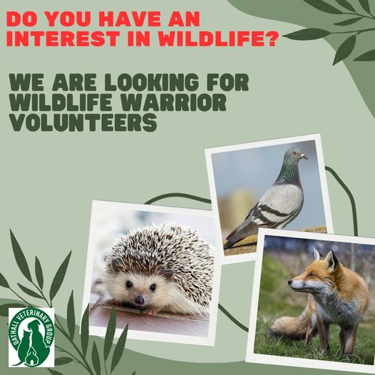 Do you have a keen interest in wildlife?