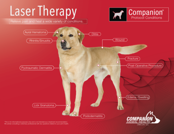 Laser Therapy