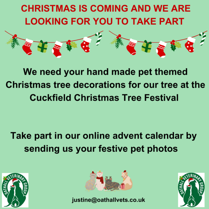 Christmas is coming and we are looking for you to take part!