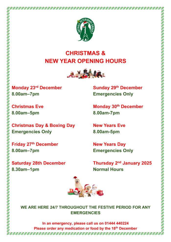 Christmas & New Year Opening Hours 2024