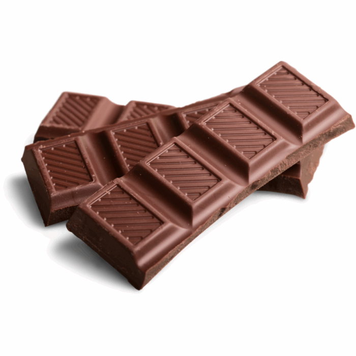My Dog What Should I Do if My Dog Has Eaten Chocolate?