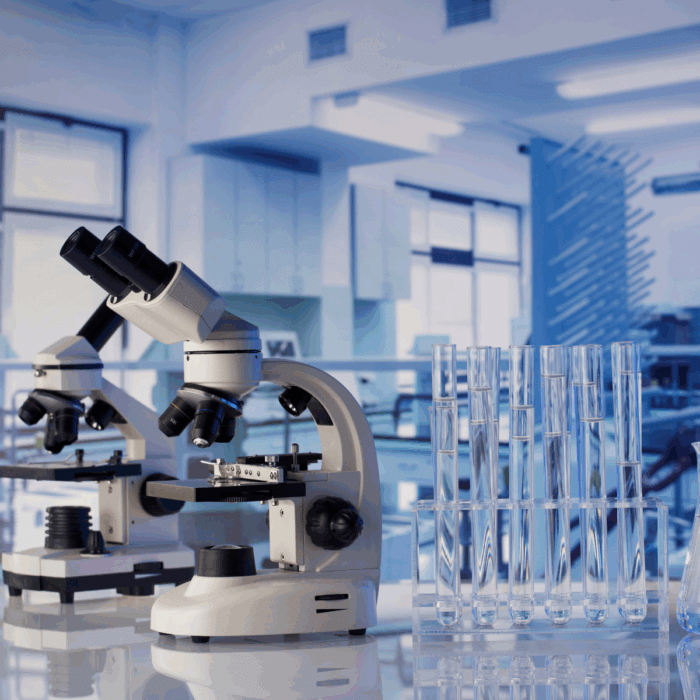 What is Canine Brucellosis and Does My Dog Need Testing?