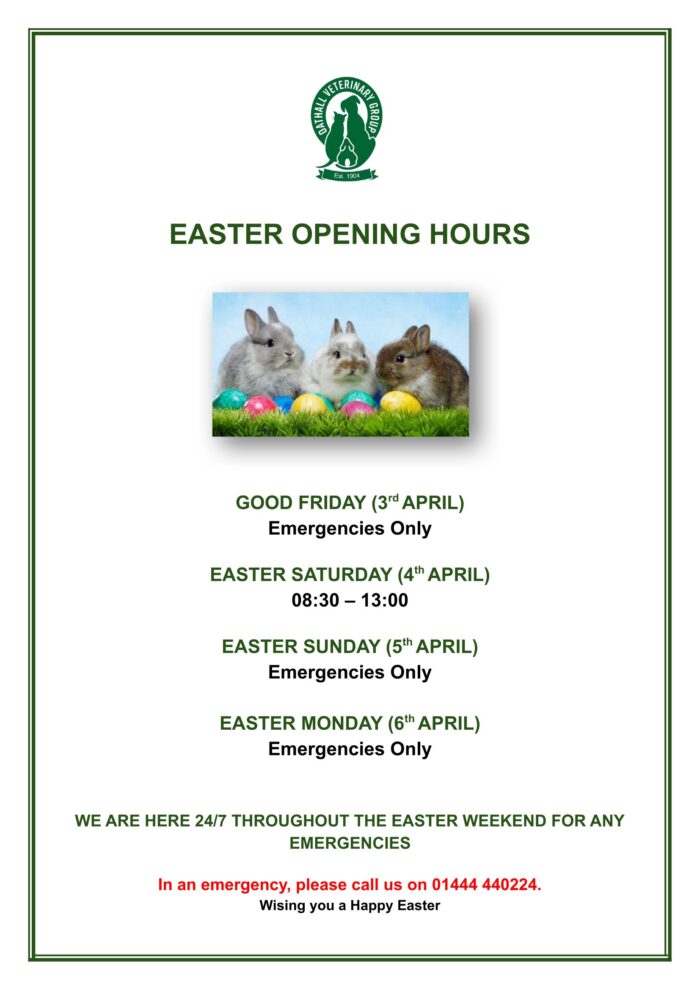 Easter Opening Hours 2026