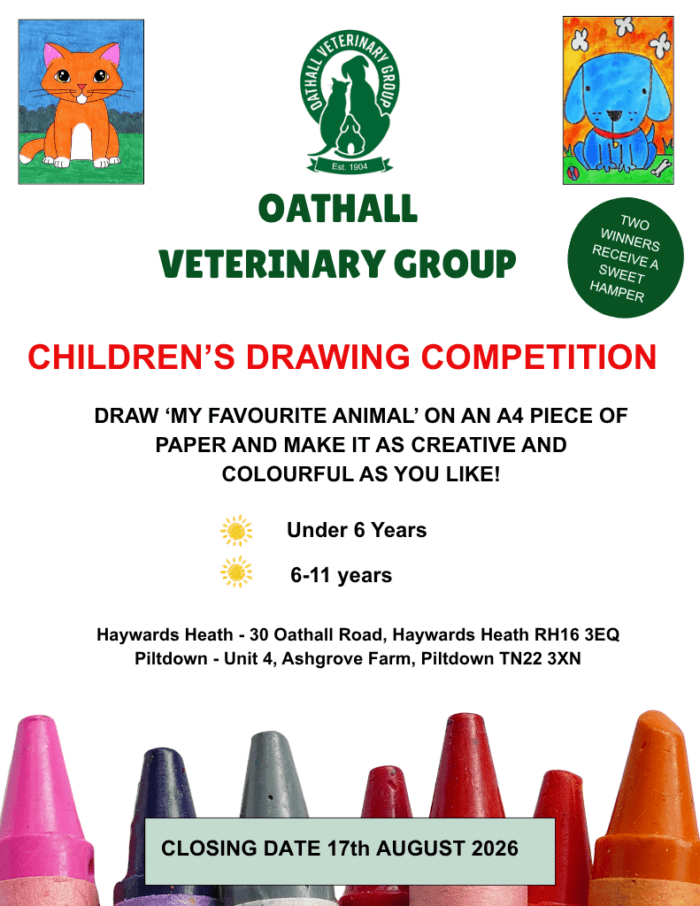 Children's Summer Drawing Competition