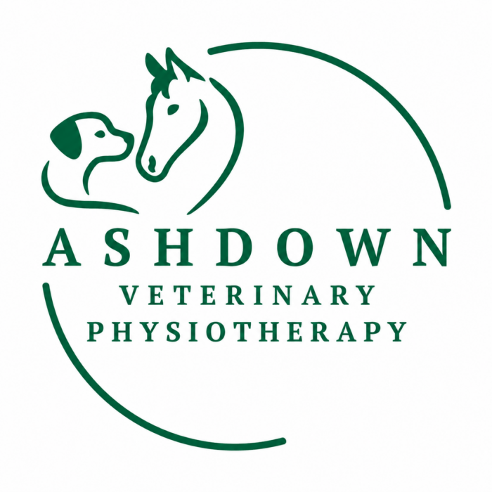 Free Veterinary Physiotherapy Assessment Clinics – One Day Only!
